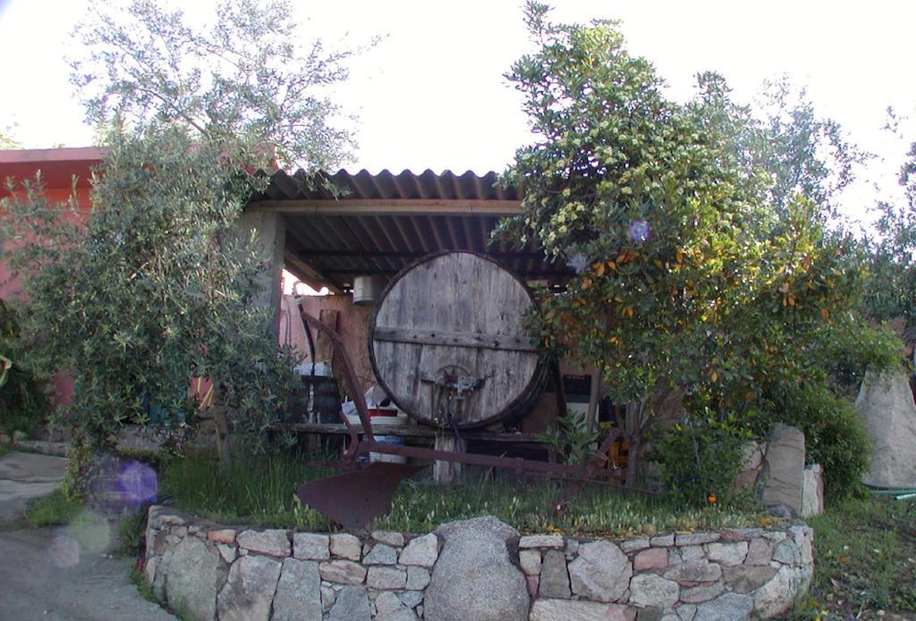 Agriturismo Su Barraccu Loceri Εξωτερικό φωτογραφία