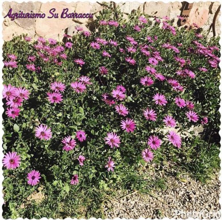 Agriturismo Su Barraccu Loceri Εξωτερικό φωτογραφία