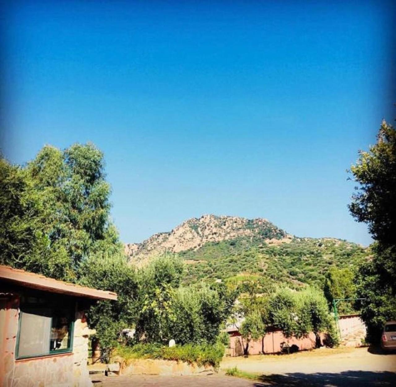 Agriturismo Su Barraccu Loceri Εξωτερικό φωτογραφία