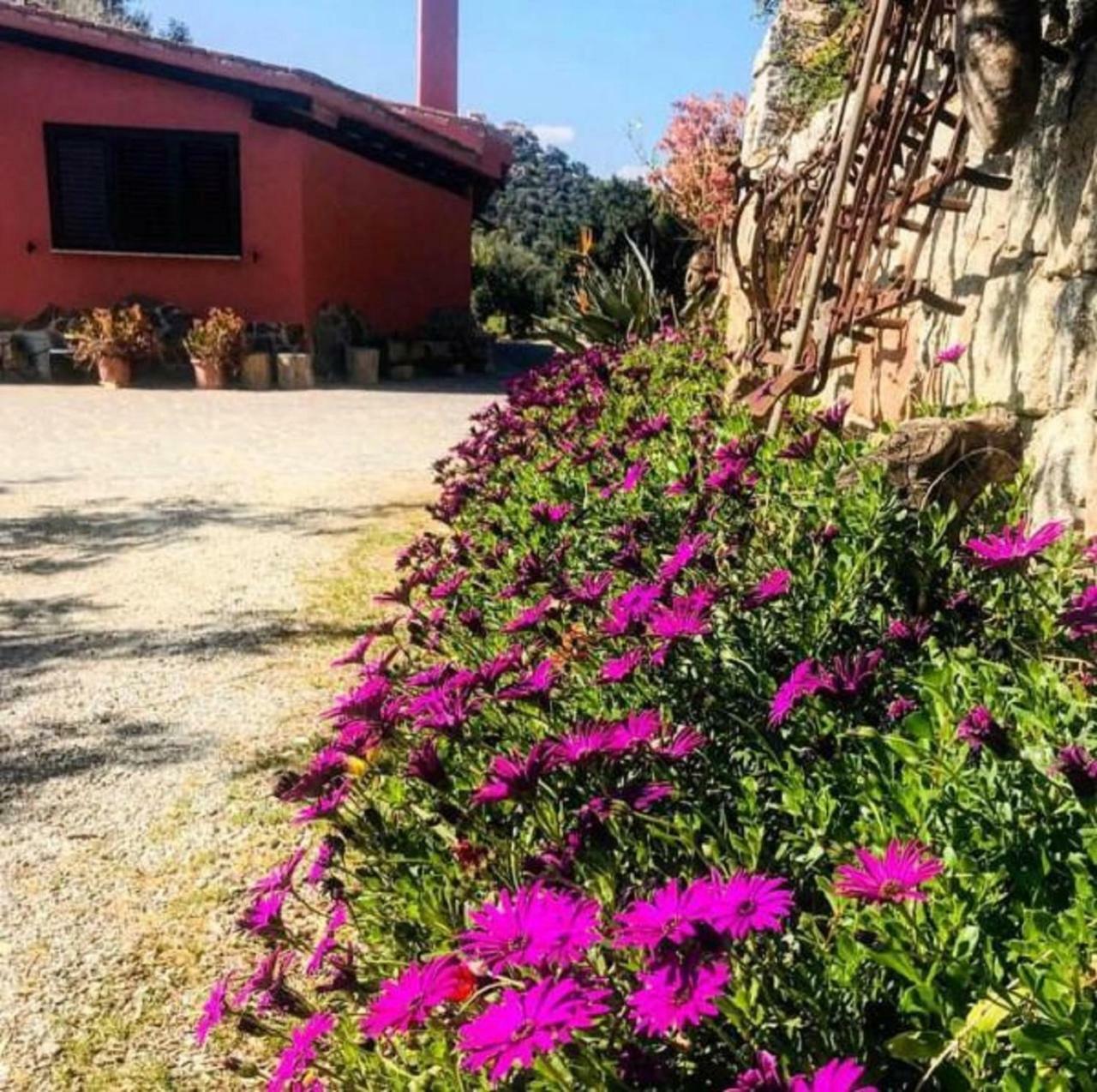 Agriturismo Su Barraccu Loceri Εξωτερικό φωτογραφία